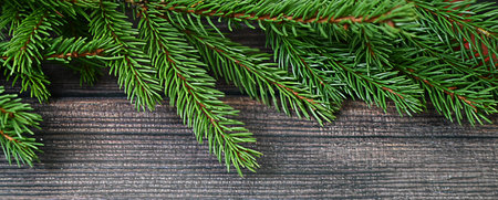green spruce branches on a wooden background close-up