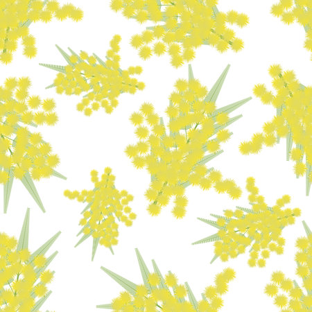 Mimosa twigs seamless pattern - illustration. Isolated sprig of Mimosa. Spring the background.のイラスト素材