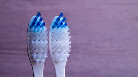 The heads of two toothbrushes with white and blue synthetic bristles on a light background. The concept of dental health, oral cleanliness. The fight against tooth decay.の写真素材