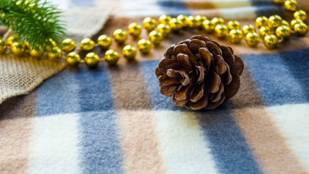 New Year and Christmas card. Christmas decoration plaid in a cage. A spruce branch, a pine cone and...