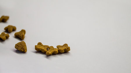 Scattered dry cat food of various shapes on a white glossy background. Pet food concept. Taking care...