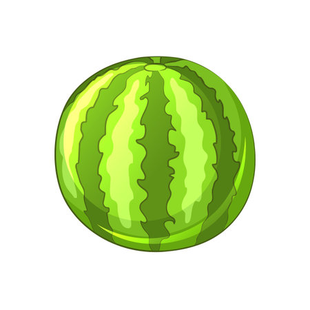 Watermelon. Cartoon icon. Isolated objects on white background. illustration.のイラスト素材