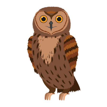 Owl Forest bird. Vector illustration isolated on white background.のイラスト素材