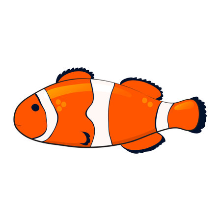 Clown fish isolated on white. Cartoon vector illustration.のイラスト素材