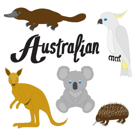 Australian animal illustration.のイラスト素材