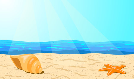 Seashell and starfish on the beach. Summer background.のイラスト素材