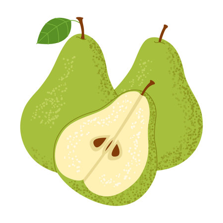 Set of whole fresh ripe green pears, cut in half, sliced. Isolated on white background. Vector illustration.のイラスト素材