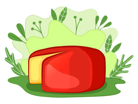 Round cheese in red package. Natural farm product on the background of plants and leaves. Cartoon style. Vector illustration.のイラスト素材