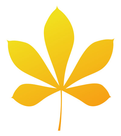 Yellow autumn chestnut leaf. Isolated silhouette on white background. Vector illustration.のイラスト素材