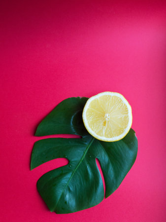 lemon lies on a green leaf on a red table. background for the site and advertising. satya for blogの写真素材