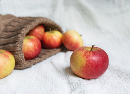 ripe fragrant apples scattered from a bag on a white background. autumn harvest. fruits and vitamins. farm with apples. fruit gardenの写真素材