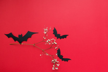 Halloween flat lay - bats and pumpkin on red background. gifts and shopping for halloween. place for text.holidays and surprises.の写真素材