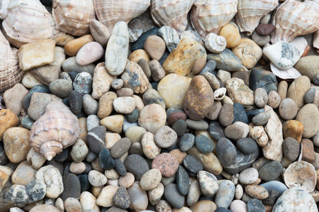 background from sea pebbles. background with a place for text, summer printing, printing on clothes,...