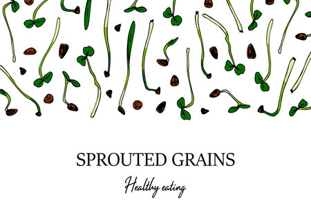 Hand drawn horizontal sprouted grains design. Healthy vegetarian and vegan food design for company logo, print, packages. Vector illustrationのイラスト素材