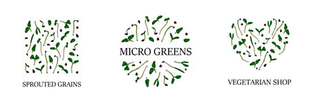 Set of hand drawn micro greens designs. Healthy vegetarian and vegan food design for company logo, print, packages. Vector illustrationのイラスト素材