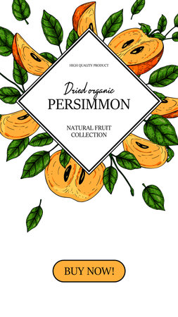 Hand drawn colorful persimmon vertical design. Vector illustration in colored sketch style.のイラスト素材