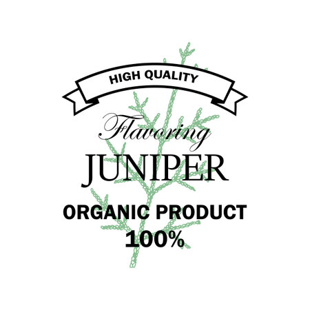 Juniper flavoring logo with hand drawn element isolated on white background. Vector illustration in vintage styleのイラスト素材