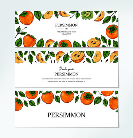 Set of hand drawn colorful persimmon horizontal design. Vector illustration in colored sketch style.のイラスト素材