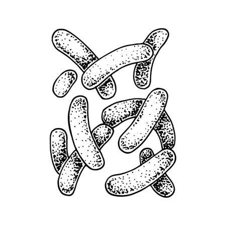 Hand drawn probiotic propionibacterium bacteria. Good microorganism for human health and digestion regulation. Vector illustration in sketch styleのイラスト素材