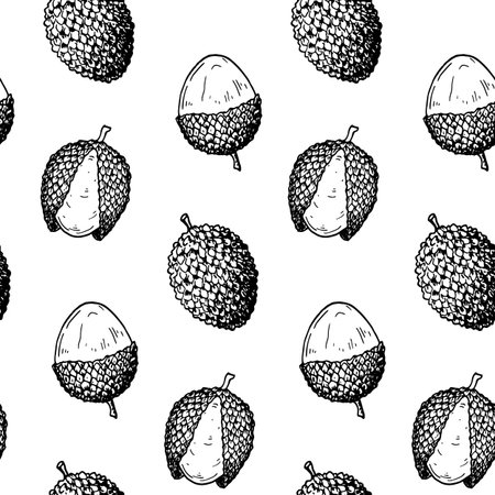 Hand drawn lychee fruit seamless pattern. Vector illustration in botanical sketch styleのイラスト素材