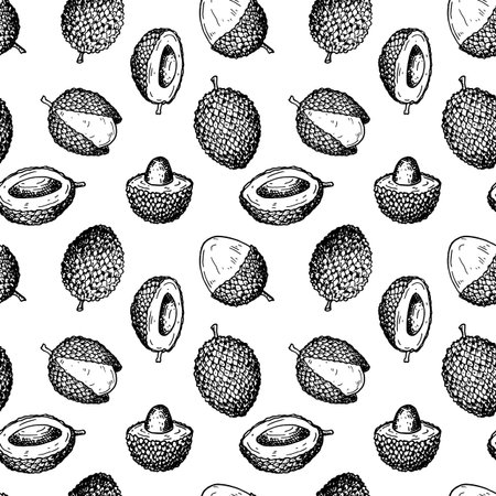 Hand drawn lychee fruit seamless pattern. Vector illustration in botanical sketch styleのイラスト素材