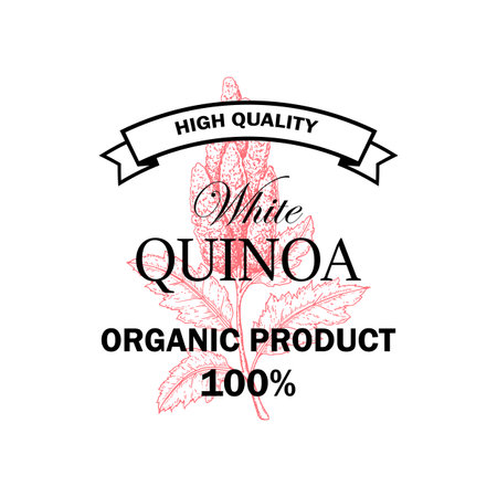 Quinoa vintage logo with hand drawn element. Vector illustration in sketch styleのイラスト素材