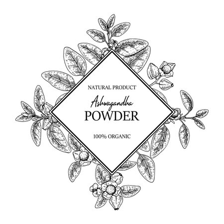 Hand drawn Ashwagandha design with branches and berries isolated on white background. Vector illustration in sketch style.のイラスト素材