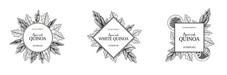 Set of Quinoa packaging design with hand drawn element. Vector illustration in sketch styleのイラスト素材