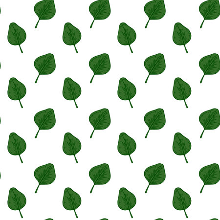 Hand drawn seamless pattern with green eucalyptus leaves isolated on white background. Vector illustration in sketch styleのイラスト素材