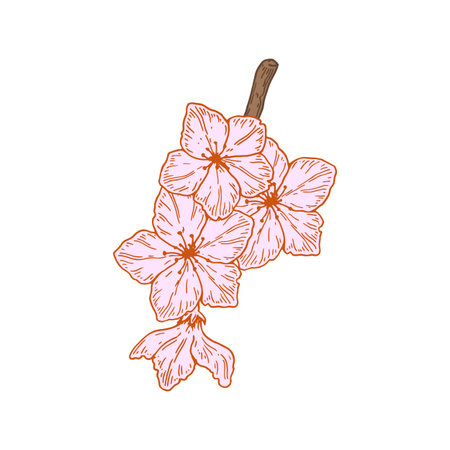 Hand drawn peach branch with flowers isolated on white background. Vector illustration in sketch styleのイラスト素材