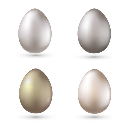 Vector illustration of a set of silver eggsのイラスト素材