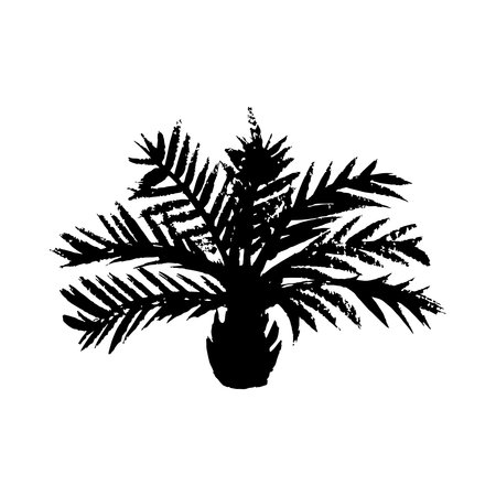 Vector illustration of a hand drawn palm tree isolated on white.のイラスト素材