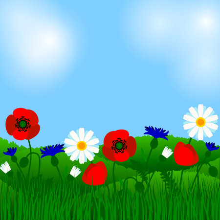 Summer background with field flowers. Vector illustration. Summer flowers design. Meadow landscape.のイラスト素材