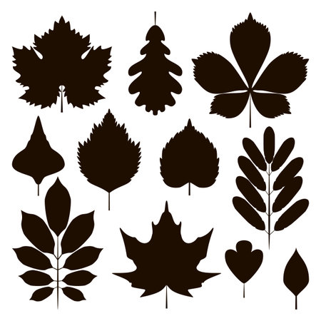 Set of leaves silhouettes isolated on white background. Vector illustrationのイラスト素材