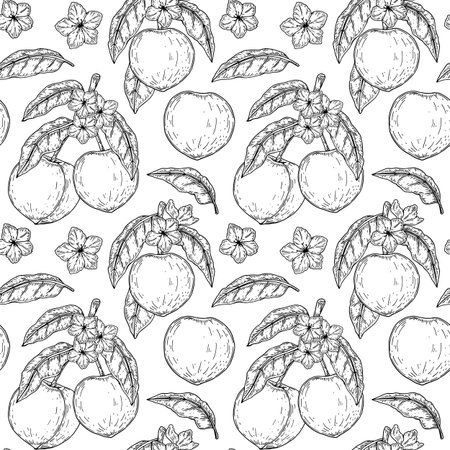 Hand drawn peach seamless pattern. Vector illustrationのイラスト素材