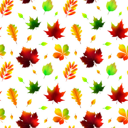 Autumn leaves seamless pattern isolated on white. Vector illustrationのイラスト素材