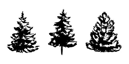 Set of hand drawn Christmas tree isolated on white bckground. Vector illustration in sketch style. Christmas design elementのイラスト素材