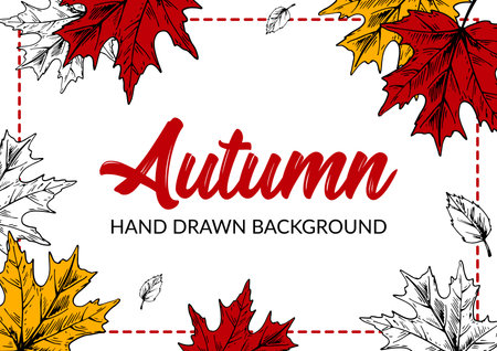 Hand drawn autumn background with colorful maple leaves. Horizontal autumn design with space for text. Vector illustrationのイラスト素材