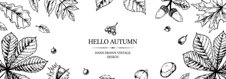 Hand drawn autumn horizontal banner with falling leaves, acorn and berries. Vector illustration in sketch style isolated on white. Space for textのイラスト素材