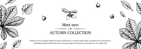 Hand drawn autumn horizontal banner with falling leaves, acorn and berries. Vector illustration in sketch style isolated on white. Space for textのイラスト素材