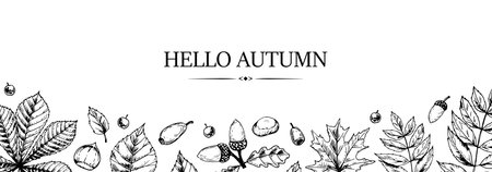 Hand drawn autumn horizontal banner with falling leaves, acorn and berries. Vector illustration in sketch style isolated on white. Space for text. Hello Autumnのイラスト素材
