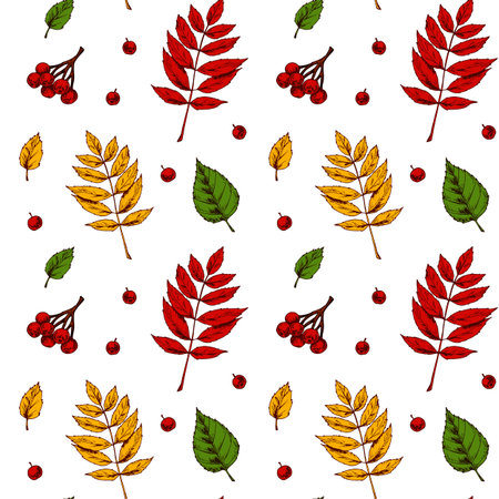Autumn seamless pattern with leaves and berries isolated on white background. Hand drawn colored sketch vector illustration. Vintage line artのイラスト素材