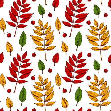 Autumn seamless pattern with rowan leaves and berries isolated on white background. Hand drawn colored sketch vector illustration. Vintage line artのイラスト素材