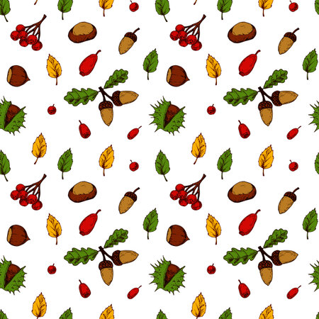 Autumn seamless pattern with acorns, chestnuts, hazelnuts, berries and colorful leaves isolated on white background. Hand drawn colored sketch vector illustration. Vintage line artのイラスト素材