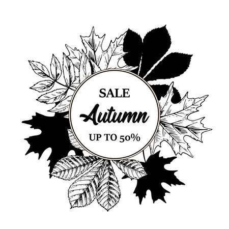 Autumn Sale design with hand drawn leaves. Vector illustration in sketch style isolated on white. Realistic forest design elements Space for textのイラスト素材