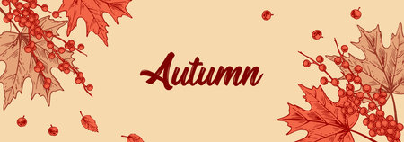 Horizontal Colorful Autumn design with leaves and berries. Hand drawn vector illustration. Hello Autumnのイラスト素材