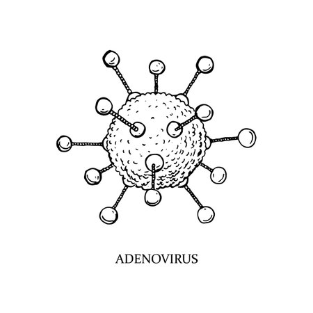 Hand drawn adenovirus illustration with name in sketch style. Microscope virus close up. Vector illustrationのイラスト素材