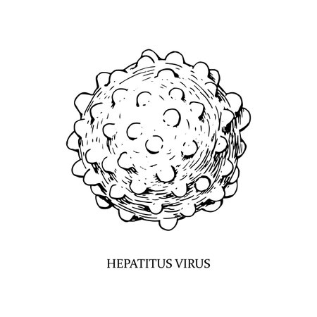 Hand drawn hepatitis virus illustration with name in sketch style. Microscope virus close up. Vector illustrationのイラスト素材