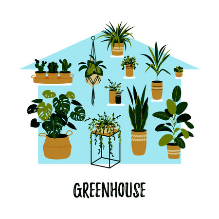 Potted plants growing in a greenhouse. Home garden concept. Vector illustration in a flat styleのイラスト素材