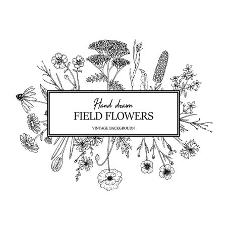 Hand drawn summer wild flowers frame. Vector illustration in sketch styleのイラスト素材